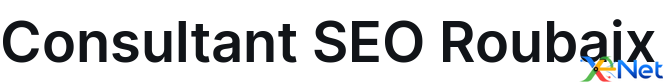Consultant SEO Roubaix